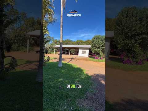 CHÁCARA A VENDA EM SANTA CATARINA CASA AVIÁRIO FRUTAS EUCALIPTOS R$1.8MI
