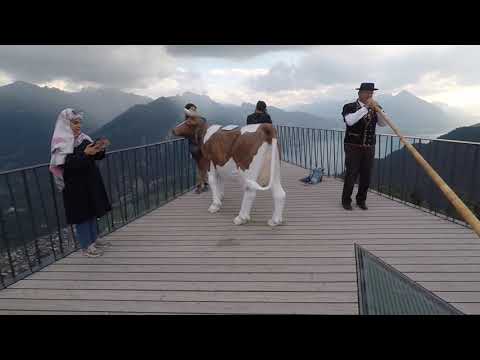 Rakesh Sokal Eurotrip - Interlaken Harder Kulm Viewpoint 2 (Switzerland 2018)