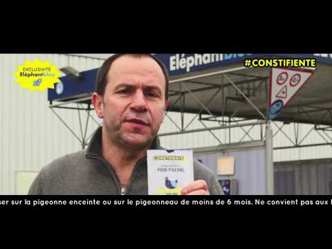 CONSTIFIENTE