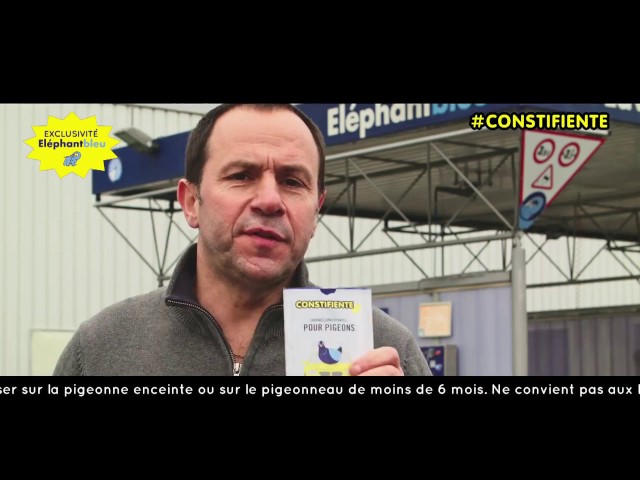 CONSTIFIENTE