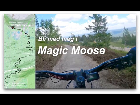 Bli med meg i Magic Moose