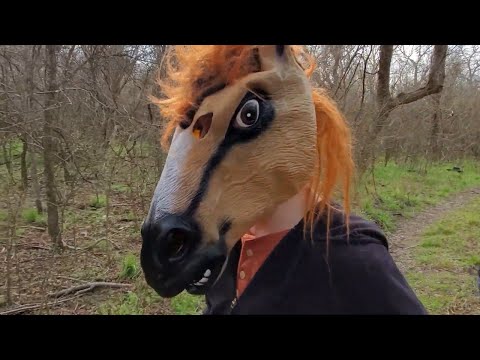 Exploring The San Antonio Donkey Lady Bridge 2021 - What Did We See?