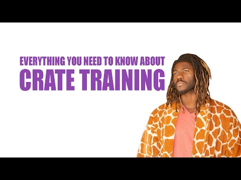 THE RIGHT WAY TO CRATE TRAIN YOUR PUPPY - EVERYTHING YOU ACTUALLY NEED TO KNOW!