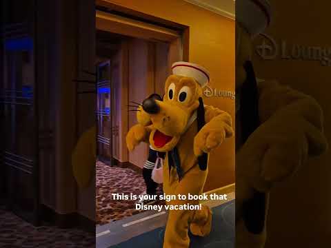 Thumbnail for Disney magic aboard Disney Wonder! #cruise #disney