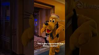 Disney magic aboard Disney Wonder! #cruise #disney