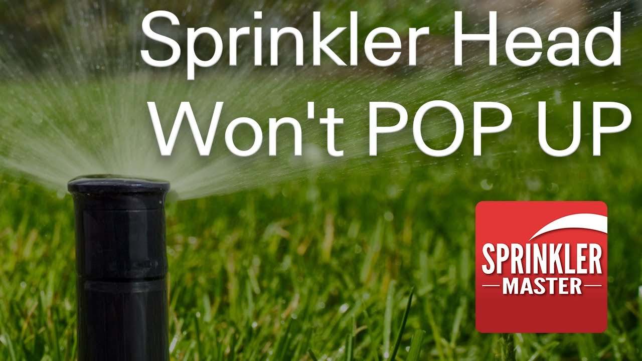 Sprinkler Head Won't Pop Up