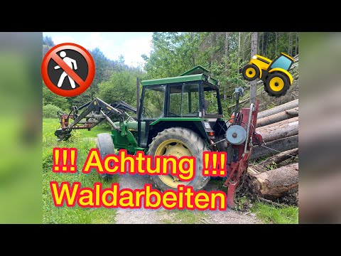Waldarbeit #1 (Käferholzfällen und Rücken)