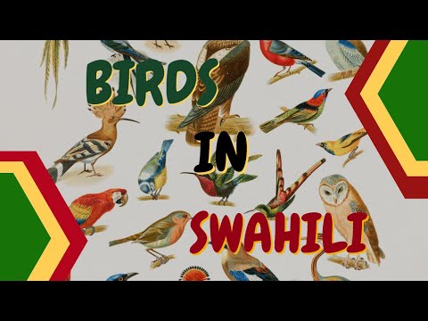THE NAMES OF 35 BIRDS IN SWAHILI WITH PICTURES