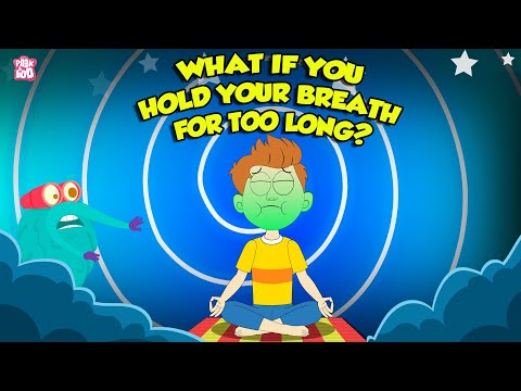 What if You Hold Your Breath for Too Long? | Breathing Mechanism in Human Beings | Dr. Binocs Show