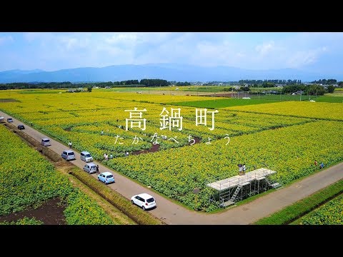 高鍋町