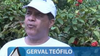 preview picture of video 'Bahia quer dobrar produção de guaraná com ajuda da assistência técnica'