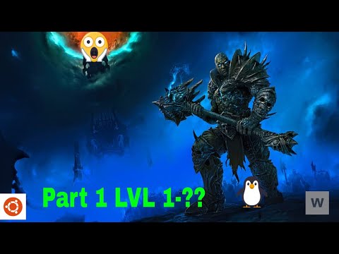 world of Warcraft shadowlands on  Linux gaming. (lvling)