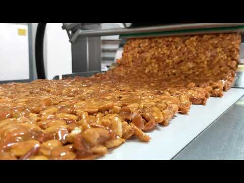Brittle/Chikki Bar Line
