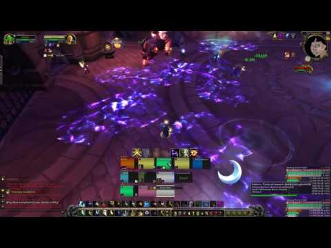 Trilliax normal - The Nighthold - Holy priest POV