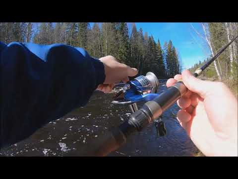 Markus Kalassa - Lestijoki Kauden Avaus 14.4.2019