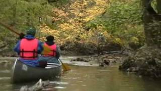 preview picture of video 'Lower Branch Rouge Canoe Trip Oct  25, 2008'