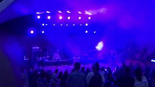 Lions of the Kalahari -Sam Roberts Band