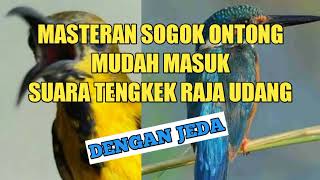 Download lagu Masteran suara tengkek Raja Udang mp3