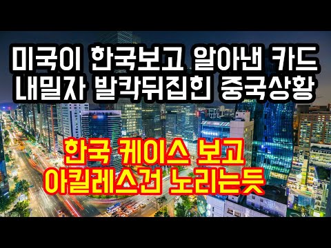 "한국 케이스 보고 아킬레스건 찾은듯"