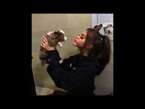 D3xy x EmKaTus - Galeria pełna naszych zdjęć (Long Version)