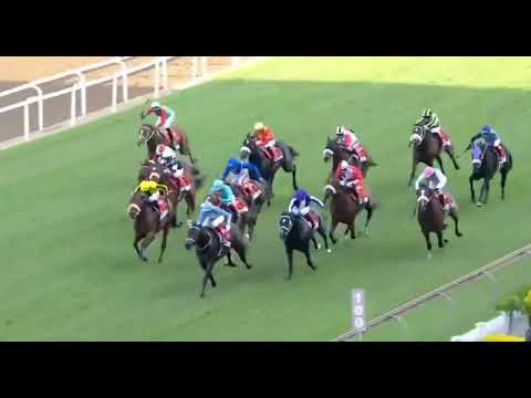 ZAPATILLAS - WORLD SPORTS BETTING GUINEAS (Grade 2)