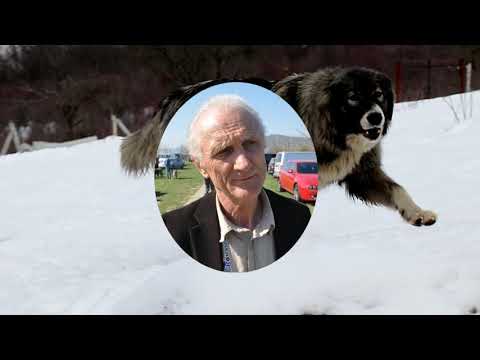 Din pasiune pentru Ciobănescul Românesc Carpatin