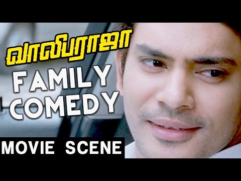 Family Comedy | Vaaliba Raja | Sethu | Vishaka Singh | Santhanam