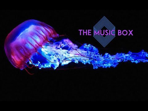DJ Rocca mastermix-The Music Box EP.2 @Stadlin(Rm-ITA)