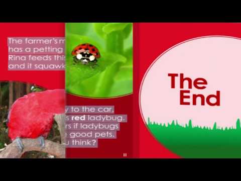 Rina's Almost Everything Red World