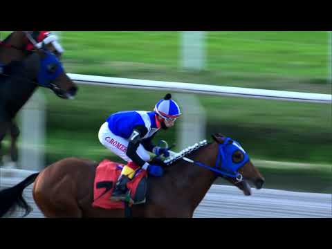 210822 c08 CORICOPAT (BRZ)