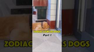 The zodiac signs as funny dogs (part 1) #zodiacsigns #astrology #dogs