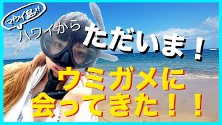【ハワイ マウイ島】夏のご褒美！初ハワイ！