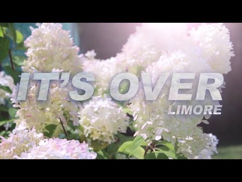 It's Over by Limore