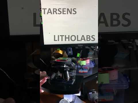 Work Demo 8