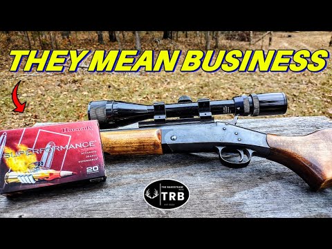200gr Hornady Superformance 35 Whelen Review \u0026 Ammo Test