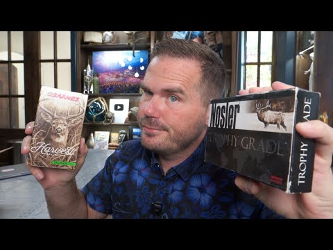 Ammo Prices Are A Scam Right Now