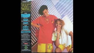 SALT N PEPA  -  TRAMP  (  INSTRUMENTAL )