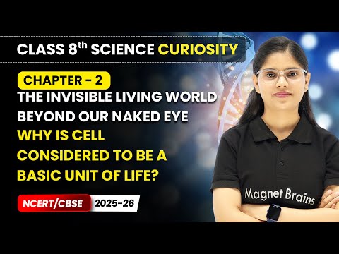 Class 8 Science Curiosity Book – Full Book Overview NCERT CBSE 2025 26 New Syllabus Explained