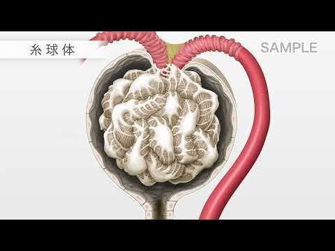 メテナミン
