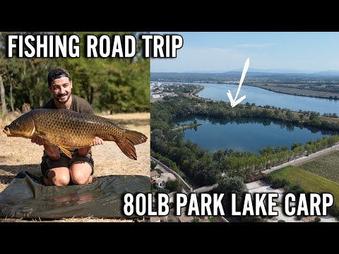 BIG CARP ADVENTURE - Fishing road trip across France!