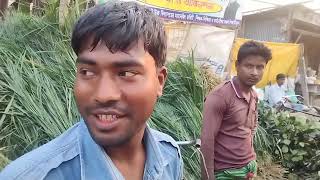 বদরগঞ্জ রংপুর এর জমজমাট ঘাসের বাজারের চলমান দৃশ্য।