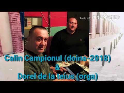 CALIN CAMPIONUL (Doina-2018)