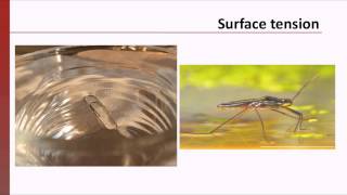 Problem Solving Process