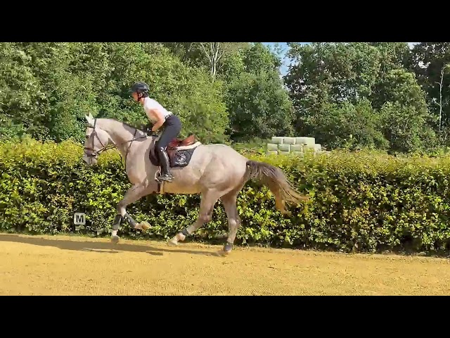 Under the saddle