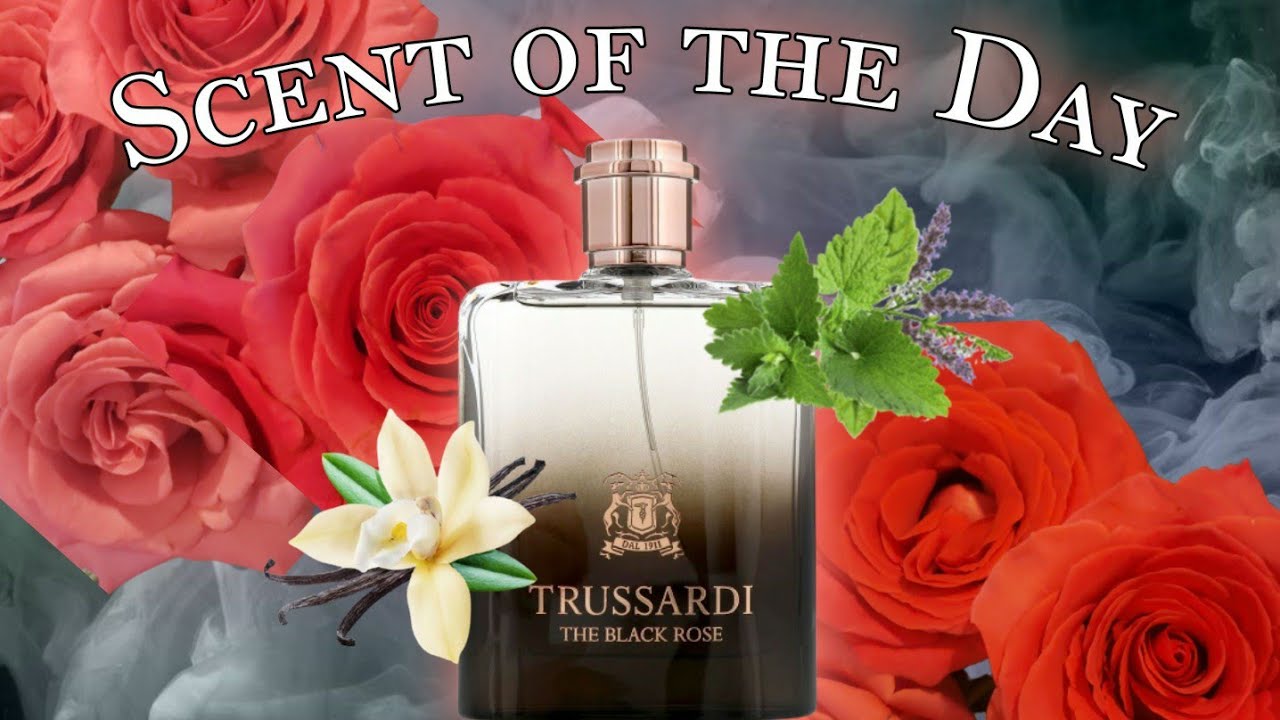 SOTD: The Black Rose by Trussardi, a versatile woody rose beauty for all seasons and occasions🌹