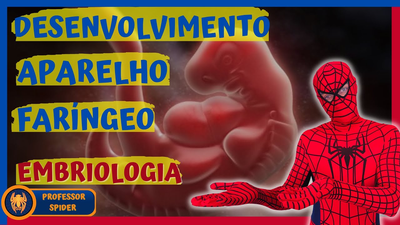 Como ocorre o desenvolvimento do aparelho faríngeo? | DUBLADO