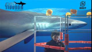 DIA 2 Expo Tiburon203