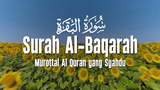 Download lagu Surah Al Baqarah Dengan Suara Indah Membuat Hati Tenang | Ahmad Al Shalabi mp3