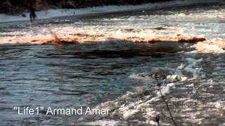 Life 1, Armand Armar