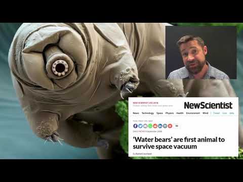 Exobiology: Are We Alone?